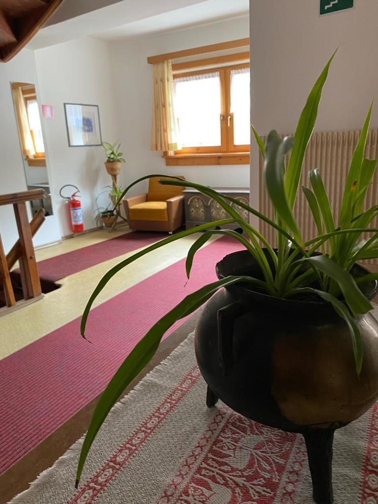 Garni Sonne Hotel Malles Venosta Bagian luar foto